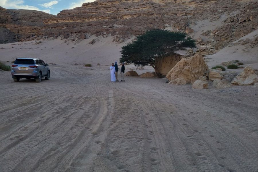 Wadi Belli Stargazing Desert Safari